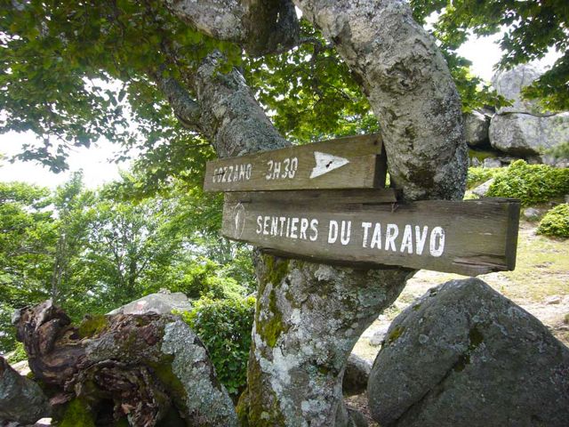 Abzweig am Col de Laparo nach Cozzano